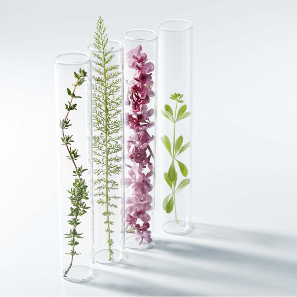 Échantillons de plantes dans des tubes à essai